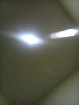 EISONREINA11 online show from 12-02-25, 05:57