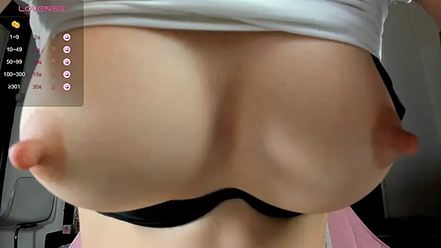 illegal lorry online show from 12-20-24, 09:43