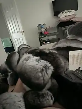 Furdale online show from 11-10-25, 02:49