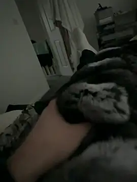 Furdale online show from 02-02-26, 02:49