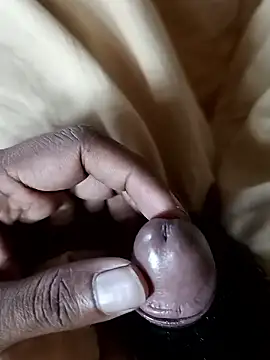 malluflash online show from 01-10-26, 09:00