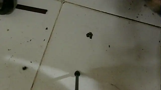 chino roz online show from 02-19-25, 03:38