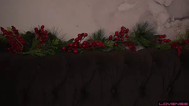 Daphne Moss online show from 12-20-24, 12:19