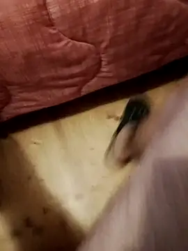 jon763 online show from 09-22-25, 07:32