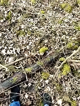 Boring one online show from 03-17-25, 01:50