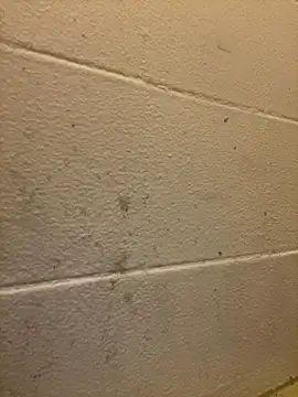 Snapshot of Greedy187nMs211 chatting on 12-02-25, 07:47 Greedy187nMs211 online show from 12-02-25, 07:47