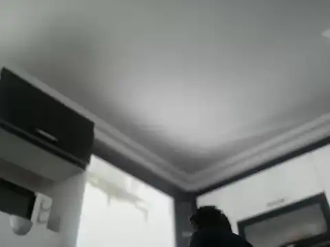 Snapshot of ALPHANDRE chatting on 10-25-25, 08:33 ALPHANDRE online show from 10-25-25, 08:33