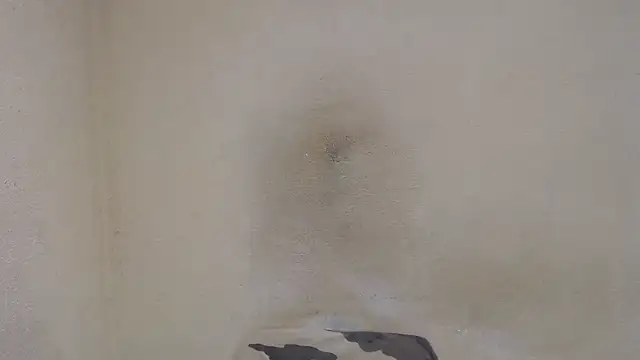 AlexNudo online show from 12-31-24, 12:46