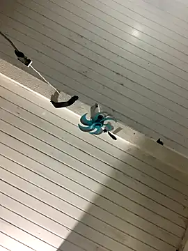 raphadoors19 online show from 12-17-25, 04:07