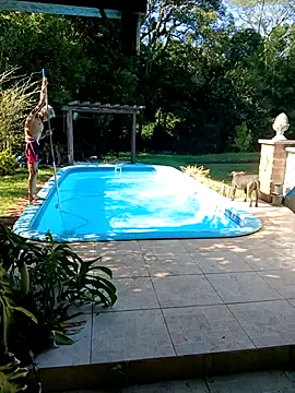 dutra498 online show from 02-03-26, 11:59