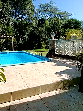 dutra498 online show from 02-09-26, 07:18