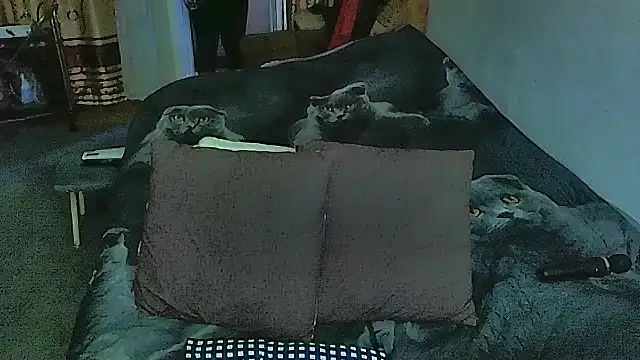 Snapshot of sex2 chatting on 09-20-25, 10:55 sex2 online show from 09-20-25, 10:55