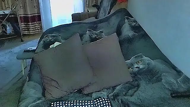 Snapshot of sex2 chatting on 09-25-25, 11:52 sex2 online show from 09-25-25, 11:52