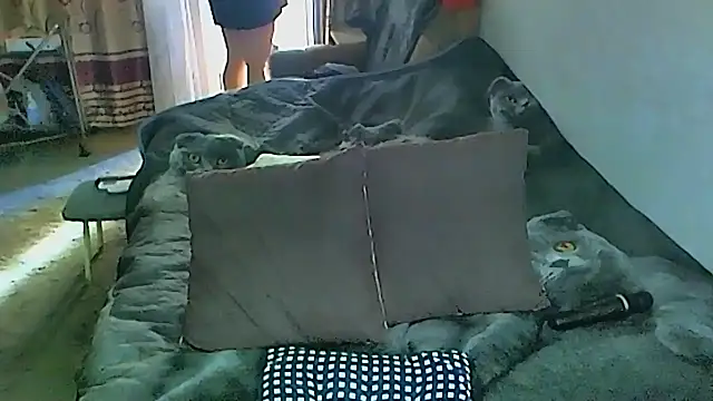 Snapshot of sex2 chatting on 09-27-25, 01:54 sex2 online show from 09-27-25, 01:54