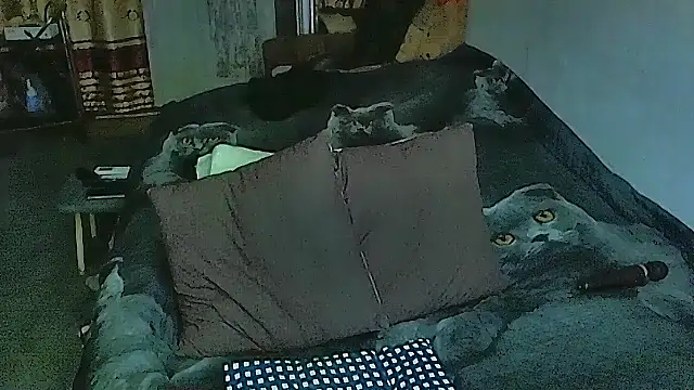 Snapshot of sex2 chatting on 09-29-25, 05:40 sex2 online show from 09-29-25, 05:40