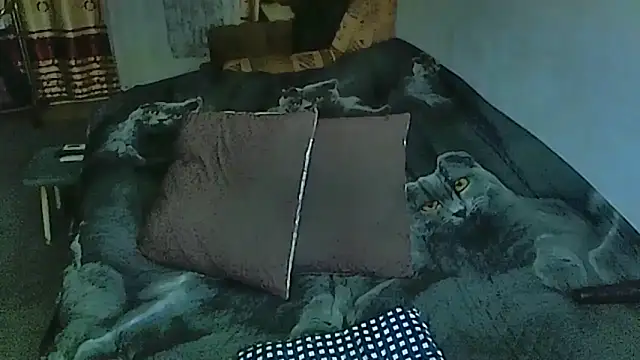 Snapshot of sex2 chatting on 10-14-25, 11:05 sex2 online show from 10-14-25, 11:05