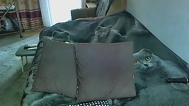 Snapshot of sex2 chatting on 10-16-25, 02:23 sex2 online show from 10-16-25, 02:23