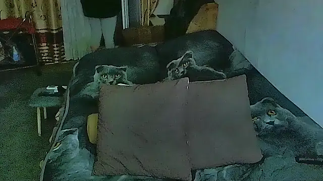 Snapshot of sex2 chatting on 11-12-25, 11:36 sex2 online show from 11-12-25, 11:36