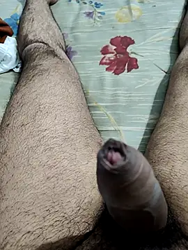 Snapshot of vishnuvinod_india chatting on 11-15-25, 02:13 vishnuvinod india online show from 11-15-25, 02:13