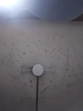 Snapshot of marie12345679 chatting on 02-26-26, 01:15 marie12345679 online show from 02-26-26, 01:15