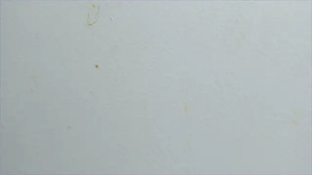 lisa2018 online show from 02-21-25, 11:10