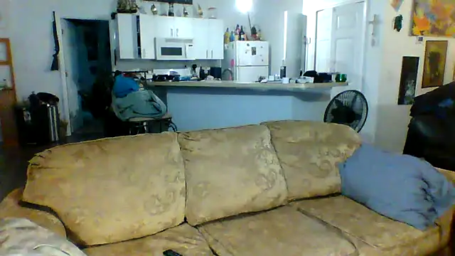 Yankeedave420 online show from 01-29-25, 12:01