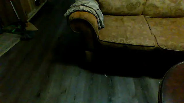 Yankeedave420 online show from 01-29-25, 03:01