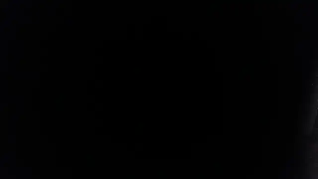 Snapshot of palidin1 chatting on 07-13-26, 01:52 palidin1 online show from 07-13-26, 01:52