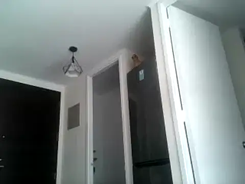 Snapshot of PenelopeSx chatting on 12-29-24, 01:06 PenelopeSx online show from 12-29-24, 01:06