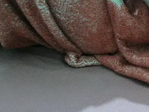 FUN4TIPS online show from 03-02-25, 02:00