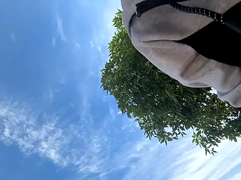 kingdennis6666 online show from 09-17-25, 07:26