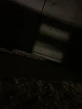 JotaCe2022 online show from 04-23-26, 09:39