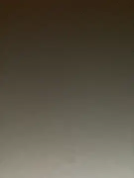 ToysRus24 online show from 01-22-25, 08:28