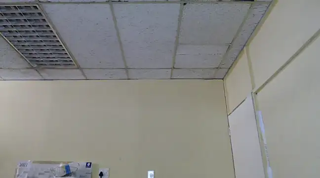 Snapshot of Mydreamgirrl chatting on 02-13-25, 11:06 Mydreamgirrl online show from 02-13-25, 11:06