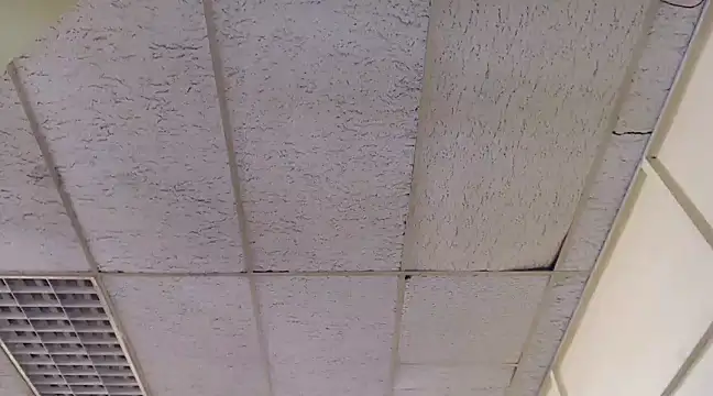 Snapshot of Mydreamgirrl chatting on 03-06-25, 01:46 Mydreamgirrl online show from 03-06-25, 01:46