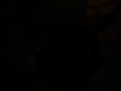 jck1m0t online show from 12-19-24, 11:07