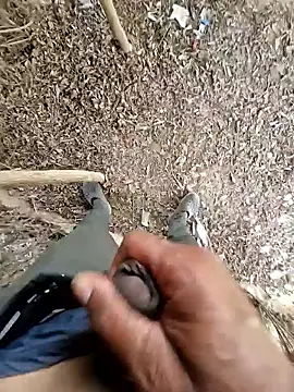 breejs online show from 10-23-25, 06:02