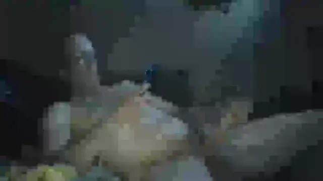 Snapshot of Wyley@xh chatting on 09-23-25, 08:28 Wyleyxh online show from 09-23-25, 08:28