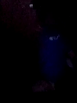 Snapshot of Wyley@xh chatting on 11-30-25, 08:07 Wyleyxh online show from 11-30-25, 08:07