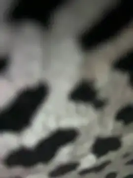 Sarita-candy online show from 01-31-25, 08:01