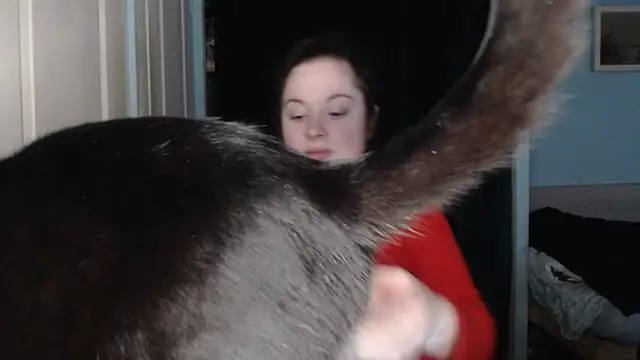 ryhhnnagold99 online show from 02-08-26, 02:53