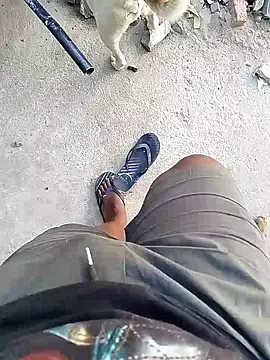 TitularAdaption online show from 02-19-26, 06:53