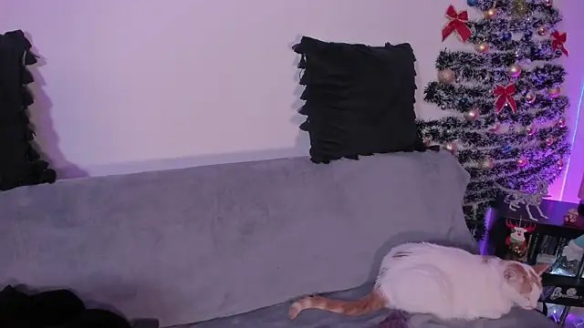 pamela doll3 online show from 12-21-25, 03:35