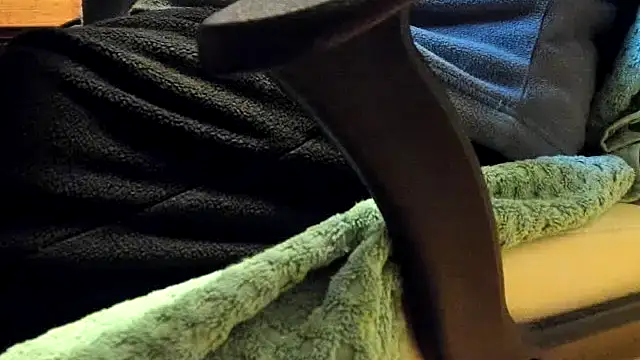 leccaleccafiga online show from 02-04-26, 10:21