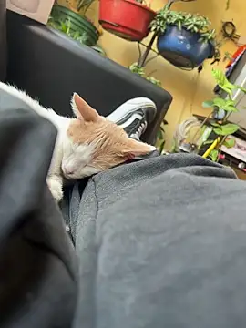 Snapshot of Lilmarieee chatting on 02-24-25, 04:15 Lilmarieee online show from 02-24-25, 04:15