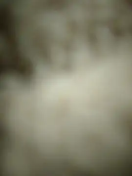 Snapshot of landy20cm chatting on 05-14-26, 08:21 landy20cm online show from 05-14-26, 08:21