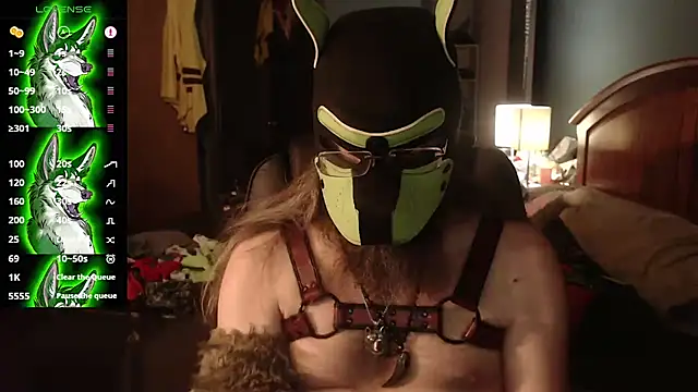 Snapshot of kinkywolf429 chatting on 07-18-26, 03:00 kinkywolf429 online show from 07-18-26, 03:00