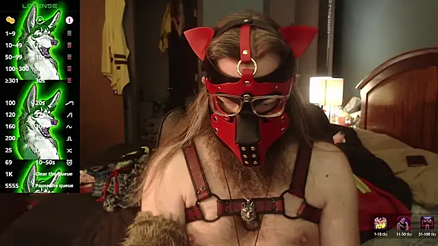 Snapshot of kinkywolf429 chatting on 07-22-26, 03:48 kinkywolf429 online show from 07-22-26, 03:48