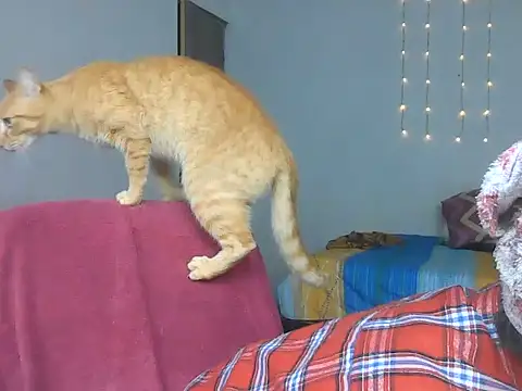 Olivia Bright online show from 03-18-26, 10:13