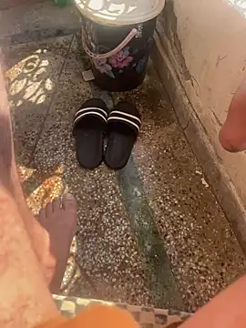 Bareilly Boy1 online show from 01-26-25, 08:25